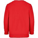 Свитшот детский Columbia Kids, красный, на рост 96-104