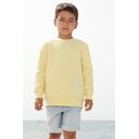 Свитшот детский Columbia Kids, красный, на рост 142-152