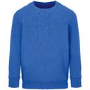 Свитшот детский Columbia Kids, ярко-синий (royal), на рост118-128