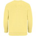 Свитшот детский Columbia Kids, светло-желтый, на рост 154-164