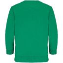 Свитшот детский Columbia Kids, ярко-зеленый, на рост 96-104