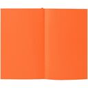 Ежедневник Flat Mini, недатированный, оранжевый