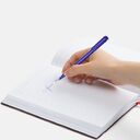 Ручка шариковая Penpal, синяя