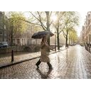 Зонт складной Regenfall, черный