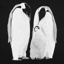 Футболка женская Like a Penguin, черная, размер S