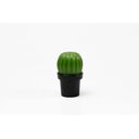 МЕЛЬНИЦА ДЛЯ СПЕЦИЙ Tasty Cactus