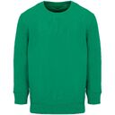 Свитшот детский Columbia Kids, ярко-зеленый, на рост 96-104