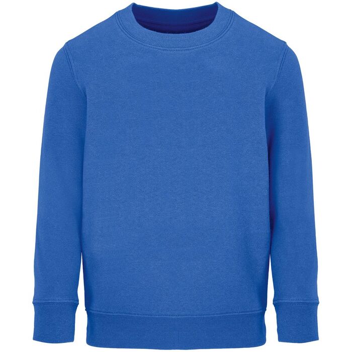 Свитшот детский Columbia Kids, ярко-синий (royal), на рост106-116